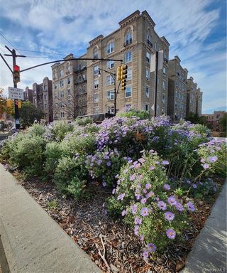 Image 1 of 27 for 1075 Grand Concourse #AL in Bronx, Out Of Area Town, NY, 10452