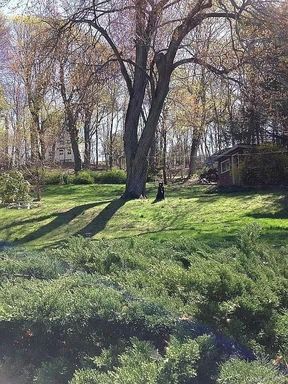 Image 1 of 33 for 12 Gory Brook Road in Westchester, Mount Pleasant, NY, 10591