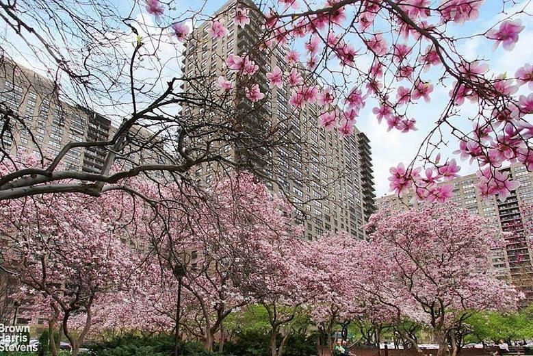 205 West End Avenue #3E