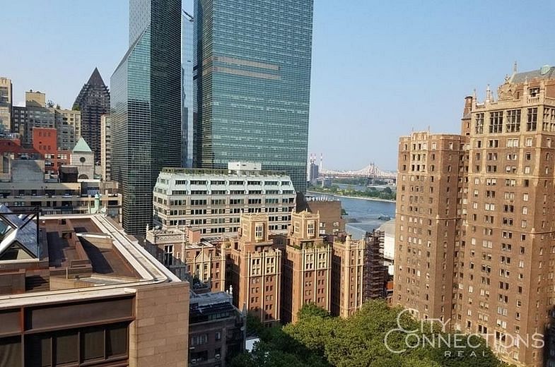 320 East 42nd Street #2004