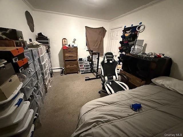 347 Lafayette Street