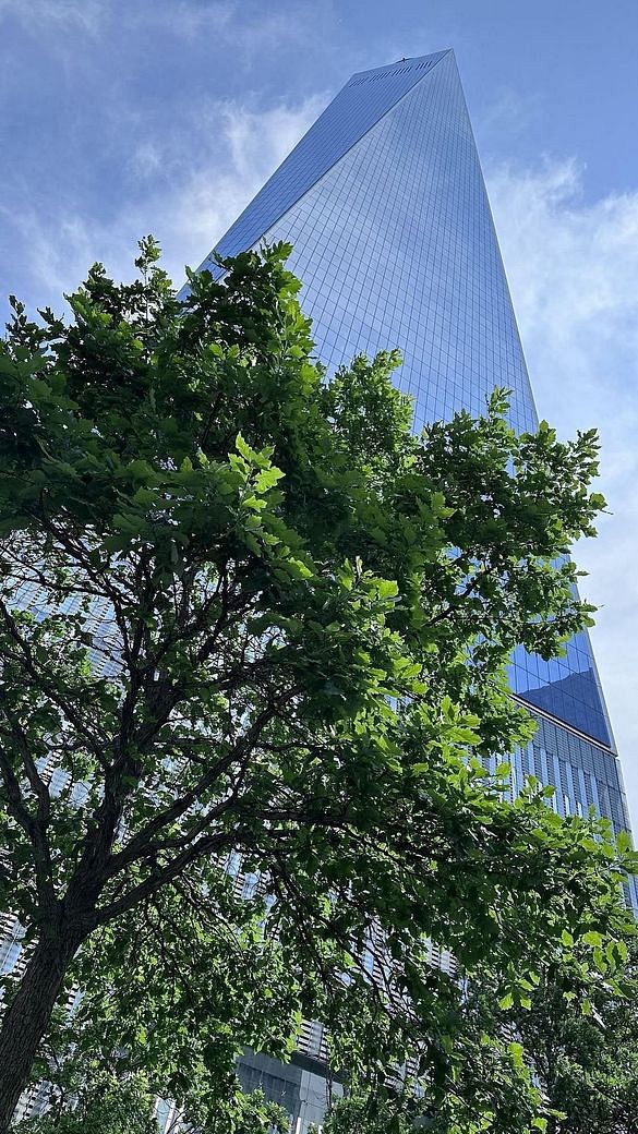 376 Broadway #13G