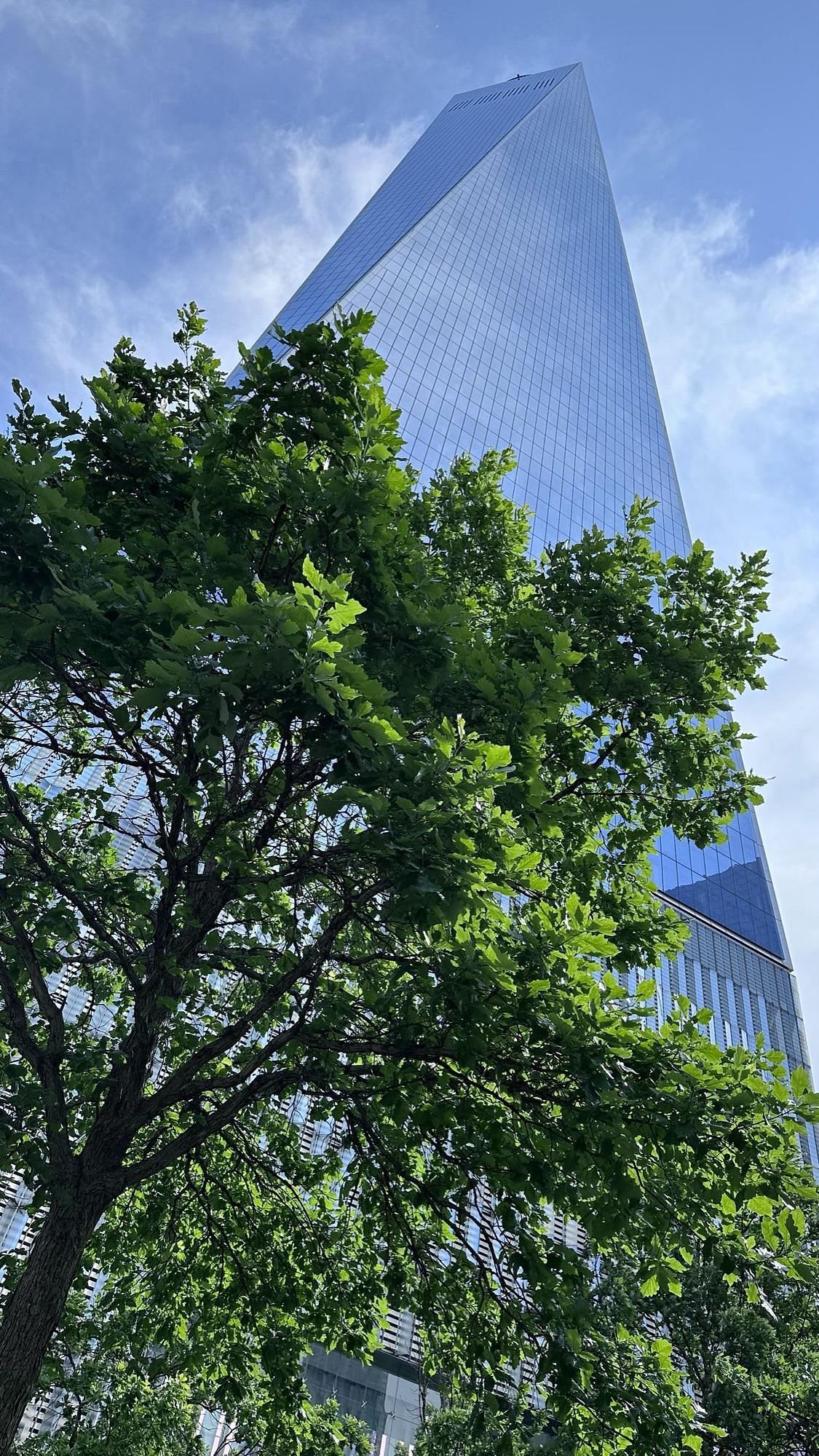 60-70 Woodhaven Boulevard #3F