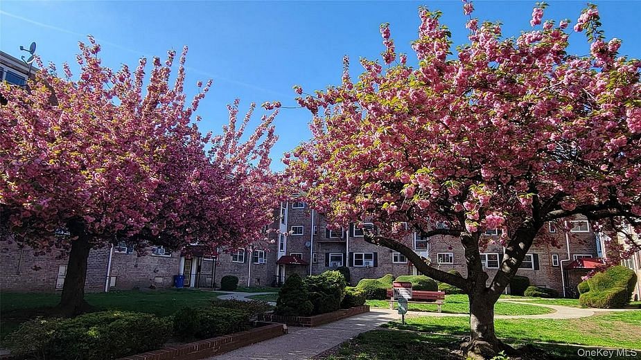 65-30 Grand Central Parkway #1