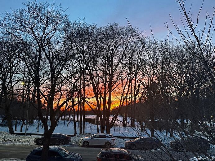 7311 210th Street #1O