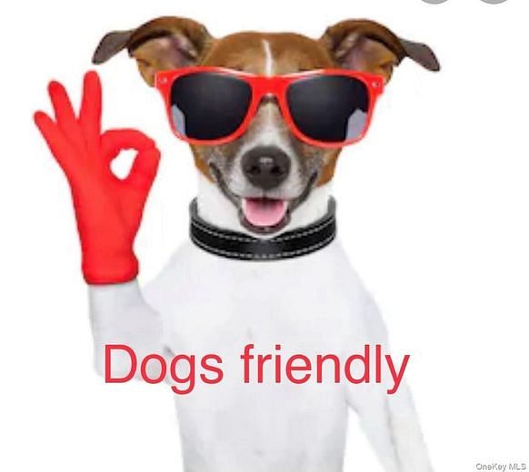 77-17B Springfield Boulevard #98