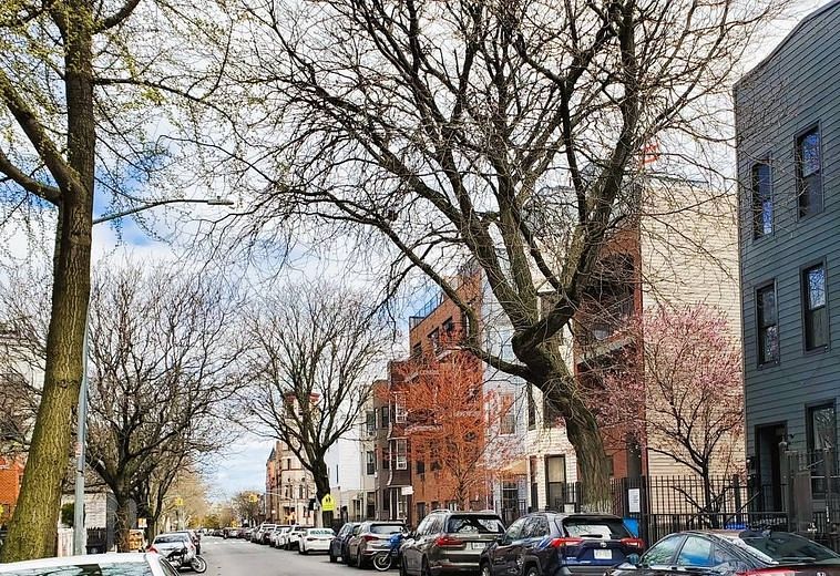 964 Madison Street #HOUSE