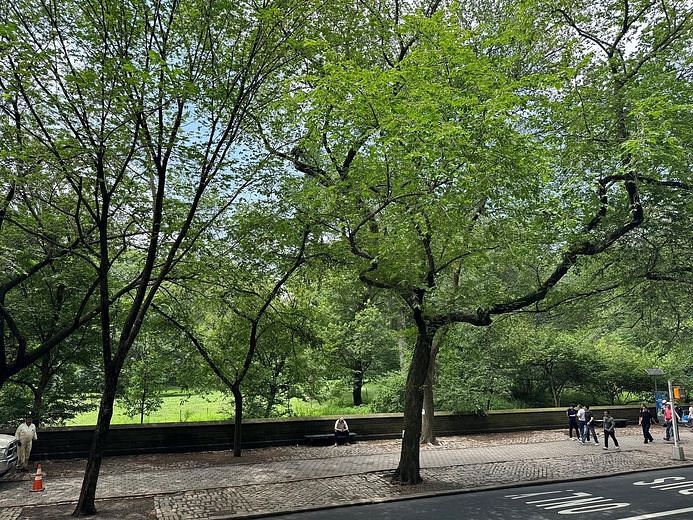 965 Fifth Avenue #2B