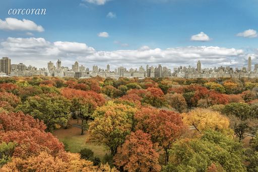 Image 1 of 50 for 211 Central Park West #14E in Manhattan, New York, NY, 10024